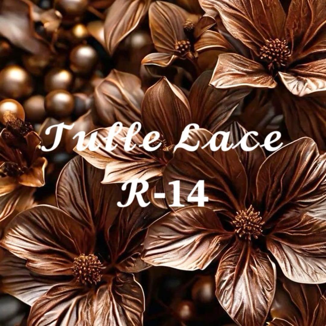 チュールレース一覧 R-14