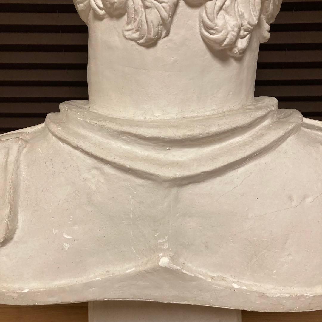 石膏像 ガッタメラータ 胸像 デッサン像 美術 芸術