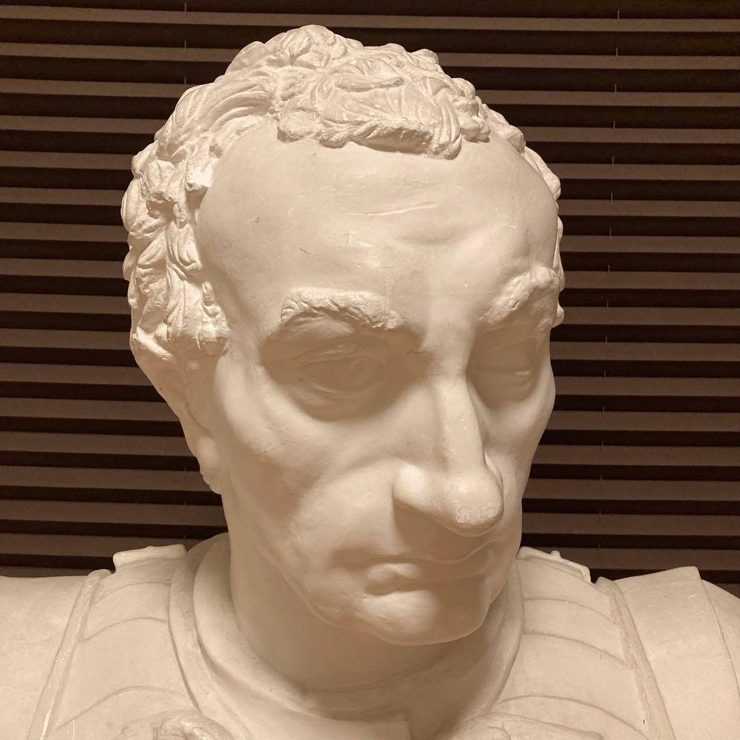 石膏像 ガッタメラータ 胸像 デッサン像 美術 芸術