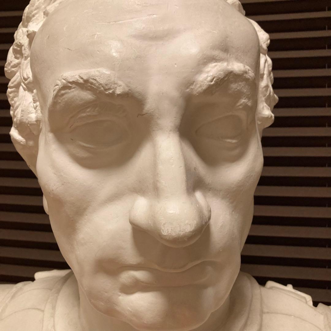 石膏像 ガッタメラータ 胸像 デッサン像 美術 芸術