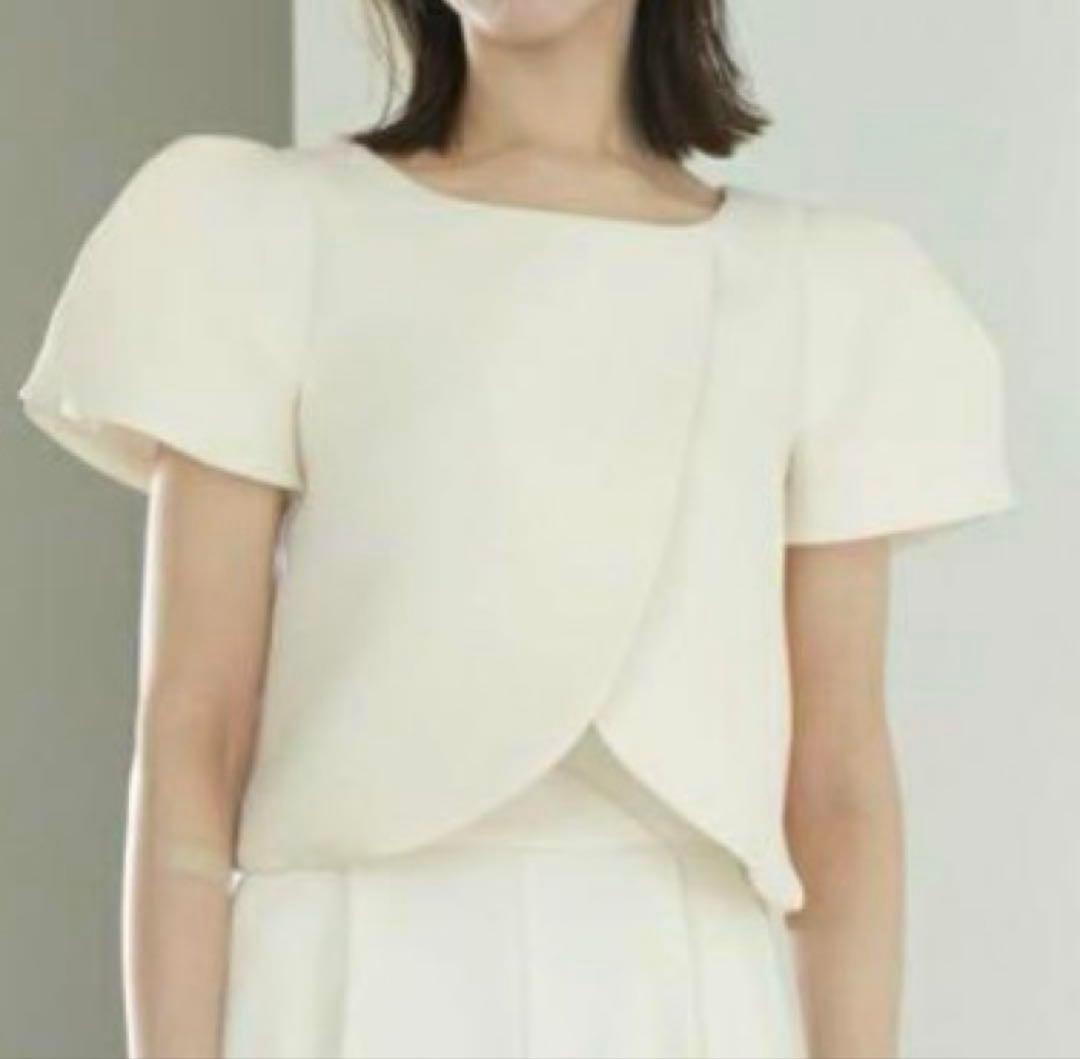 極美品　maison de Dolce. レディヨークトップス 洗える Fサイズ