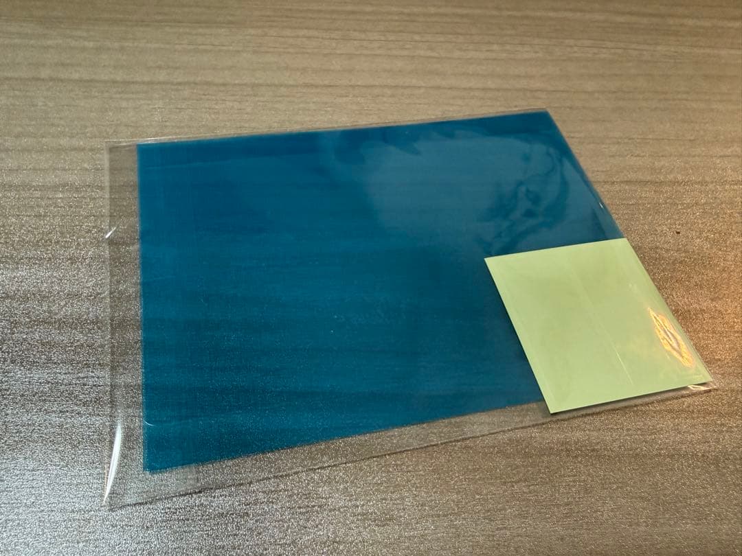 Nintendo Switch Lite グレー 本体　ケース付(どうぶつの森)