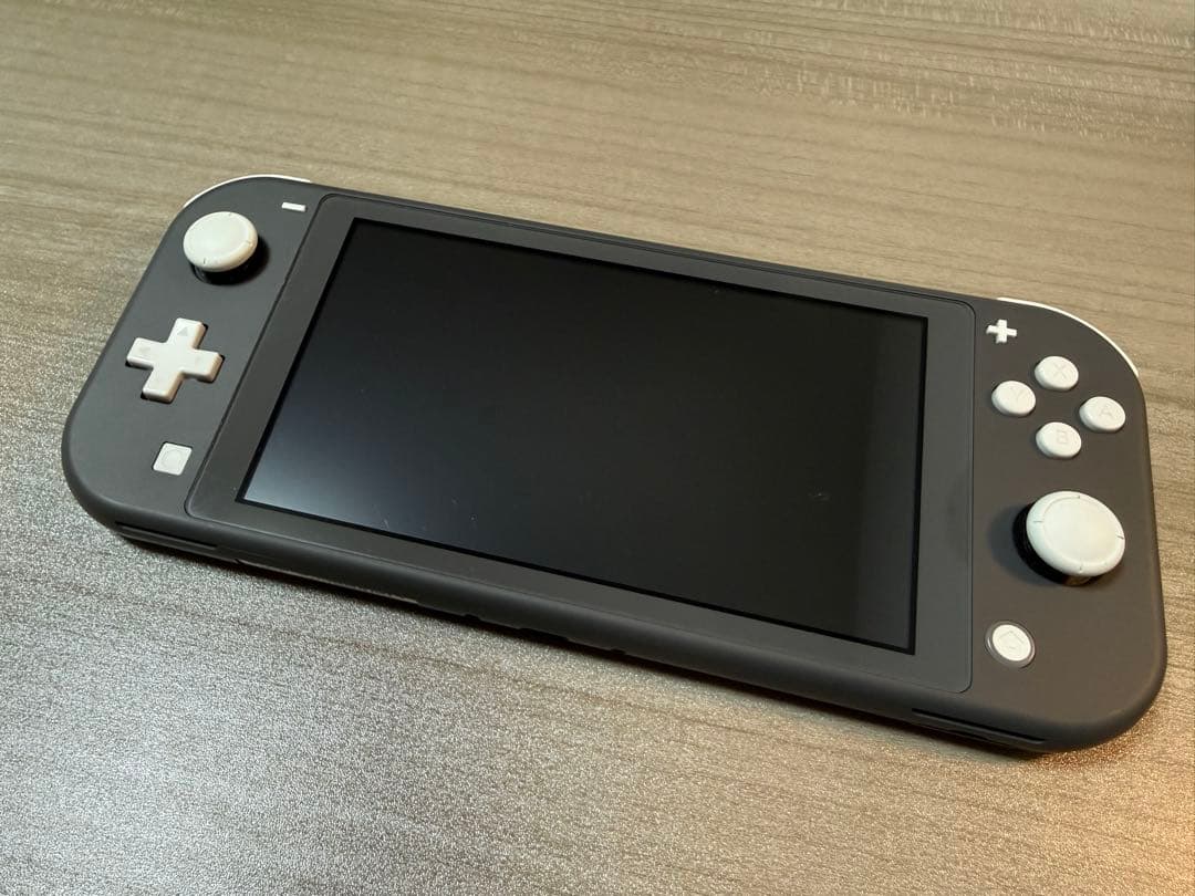 Nintendo Switch Lite グレー 本体　ケース付(どうぶつの森)