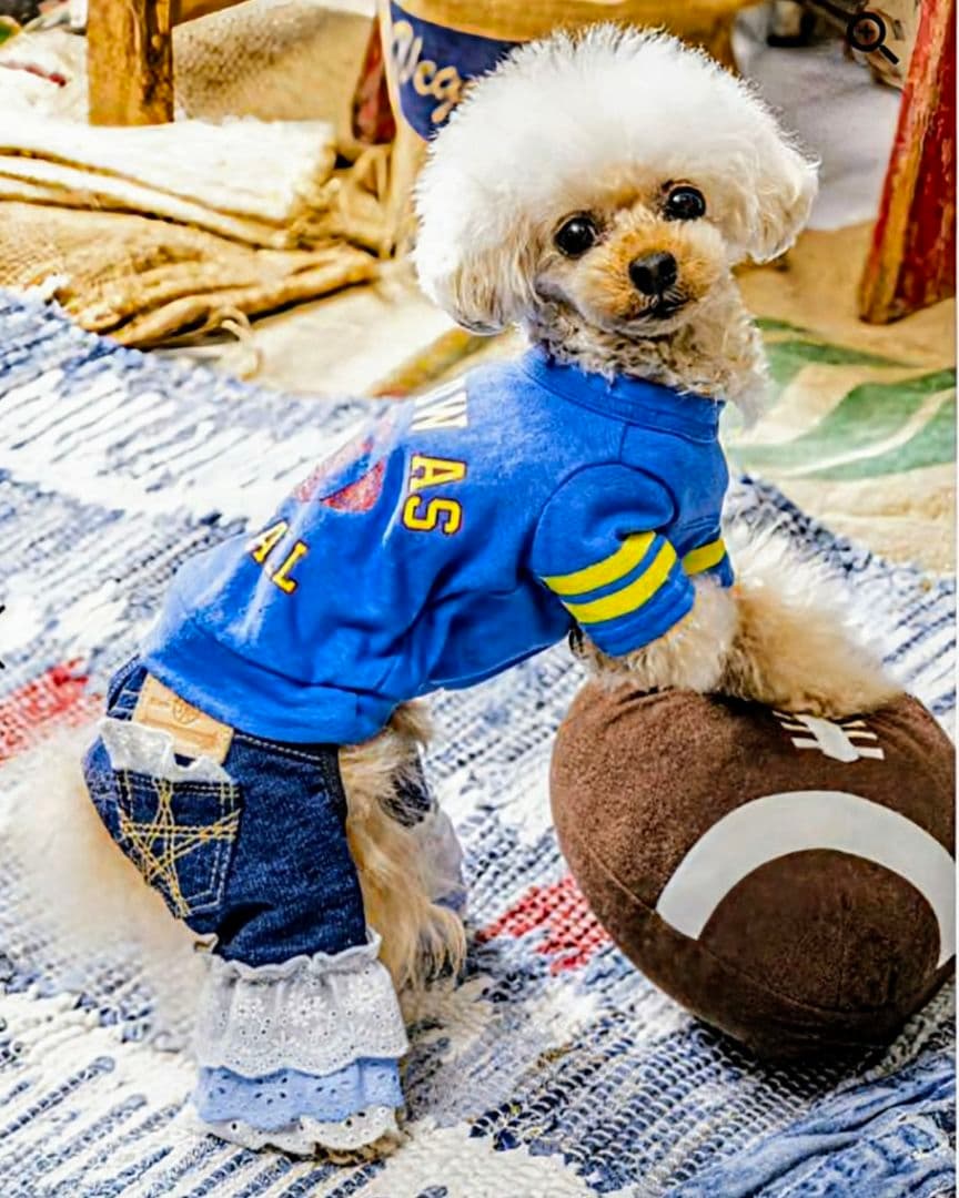 新品タグ付き　レース☆デニムPT 　asknowasdewan　アズノウアズデワ