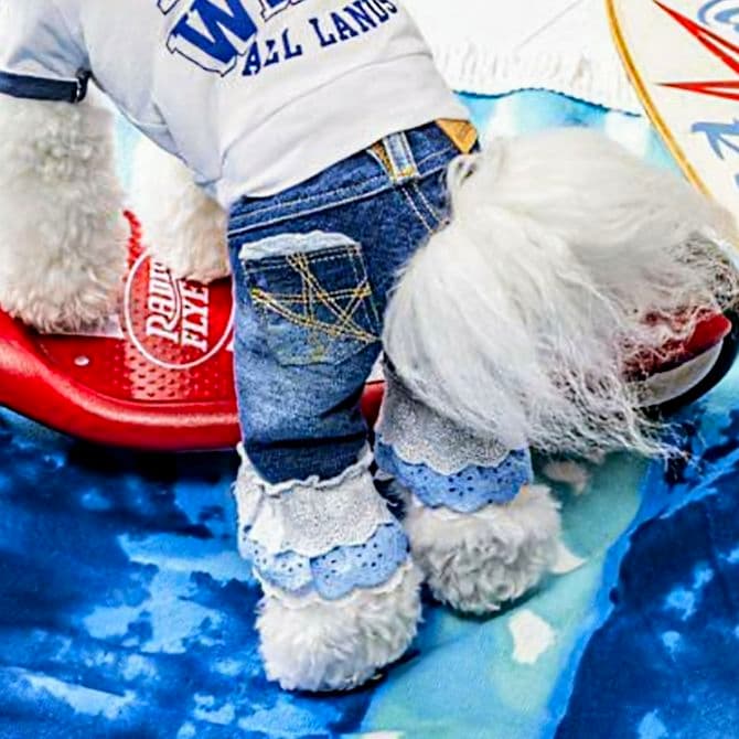 新品タグ付き　レース☆デニムPT 　asknowasdewan　アズノウアズデワ