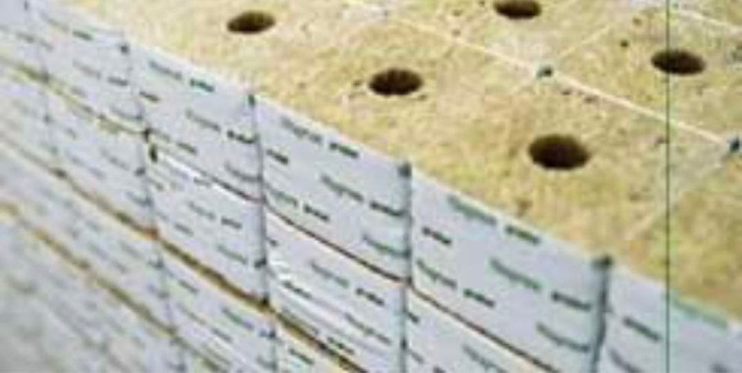 ロックウール　Grodan DM6.5(216個入)