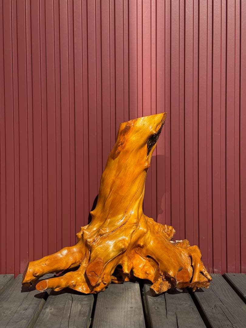 【一点もの】天然木 根流木 オブジェ 飴色仕上げ インテリア 盆栽台 置物