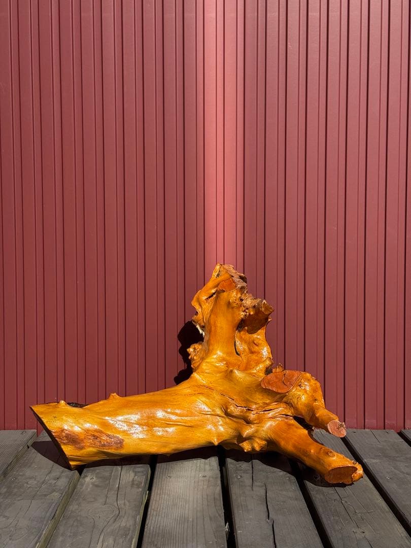 【一点もの】天然木 根流木 オブジェ 飴色仕上げ インテリア 盆栽台 置物