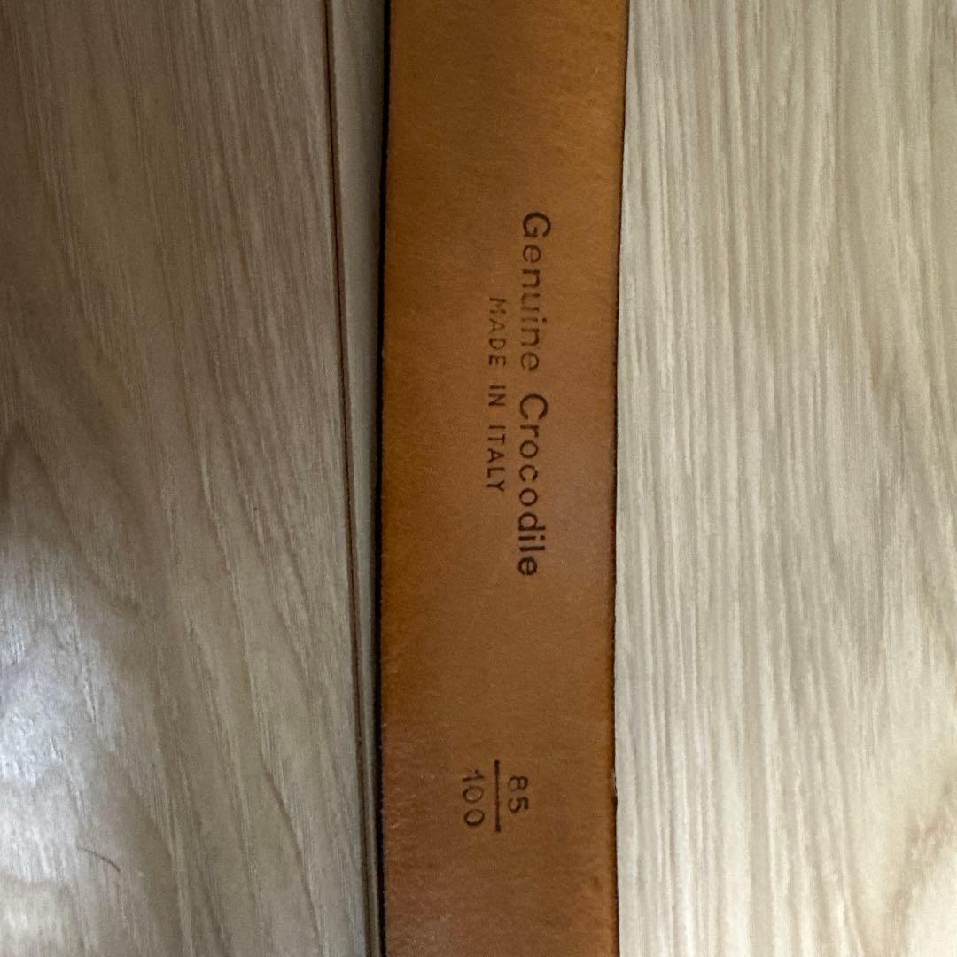 Andrea D'amico クロコダイルベルト