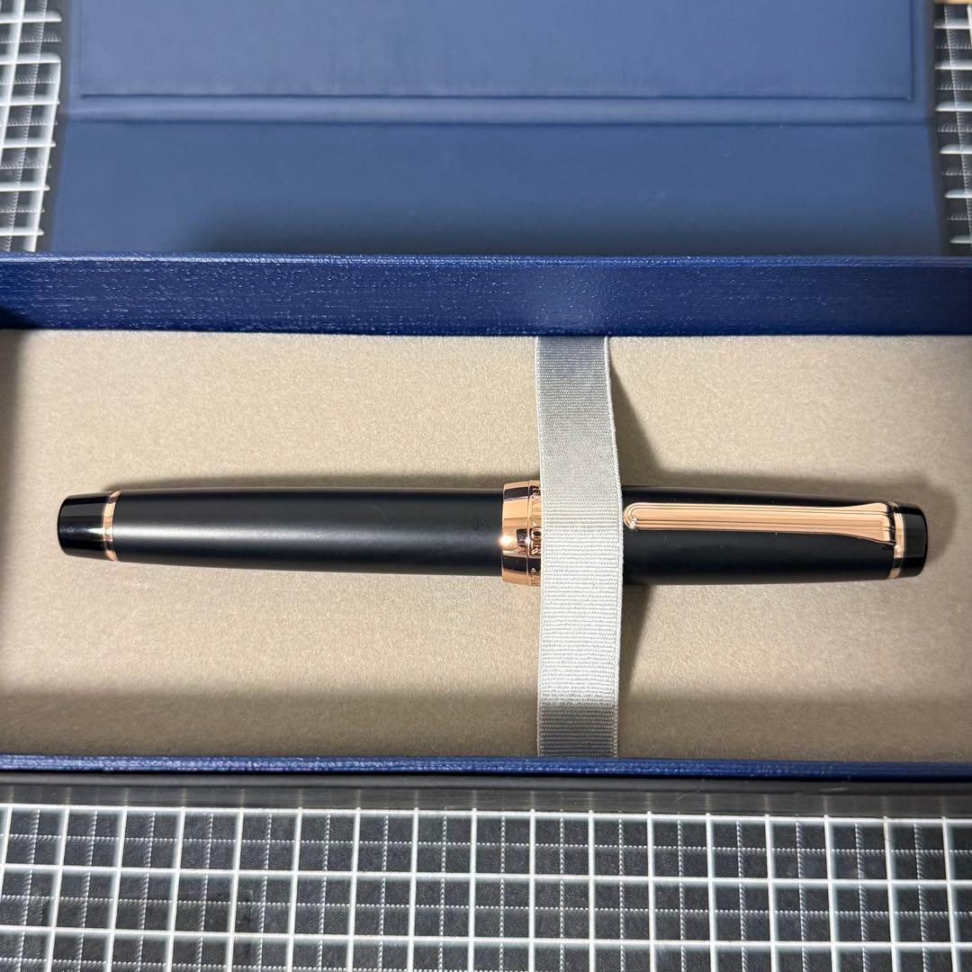 セーラー 万年筆 川崎文具店 プロフェッショナルギア ジャズエイジ 中字