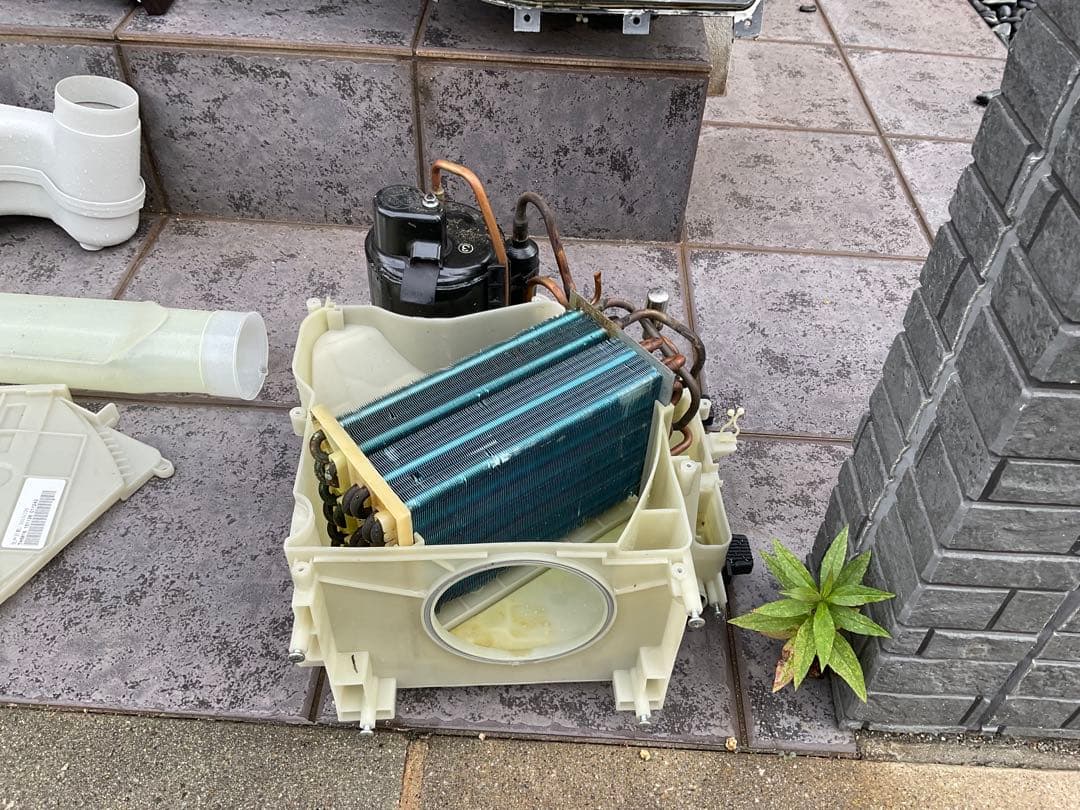 【分解洗浄済み】東芝ドラム式洗濯乾燥機　2022年8月購入(動作確認済み)