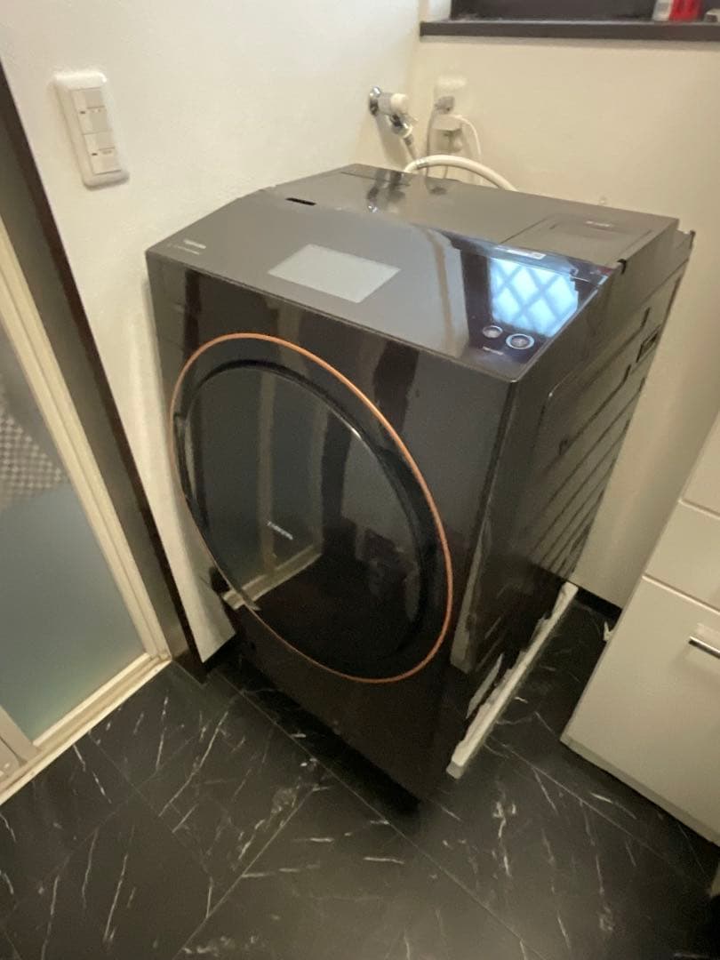 【分解洗浄済み】東芝ドラム式洗濯乾燥機　2022年8月購入(動作確認済み)