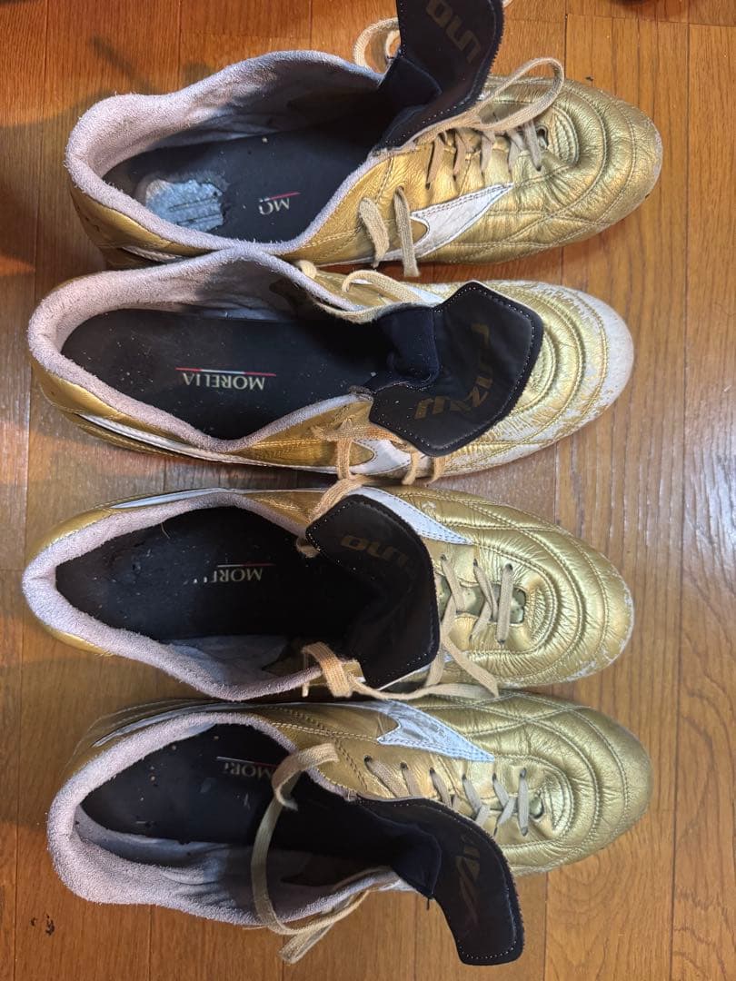 モレリア プロフェッショナル ゴールド