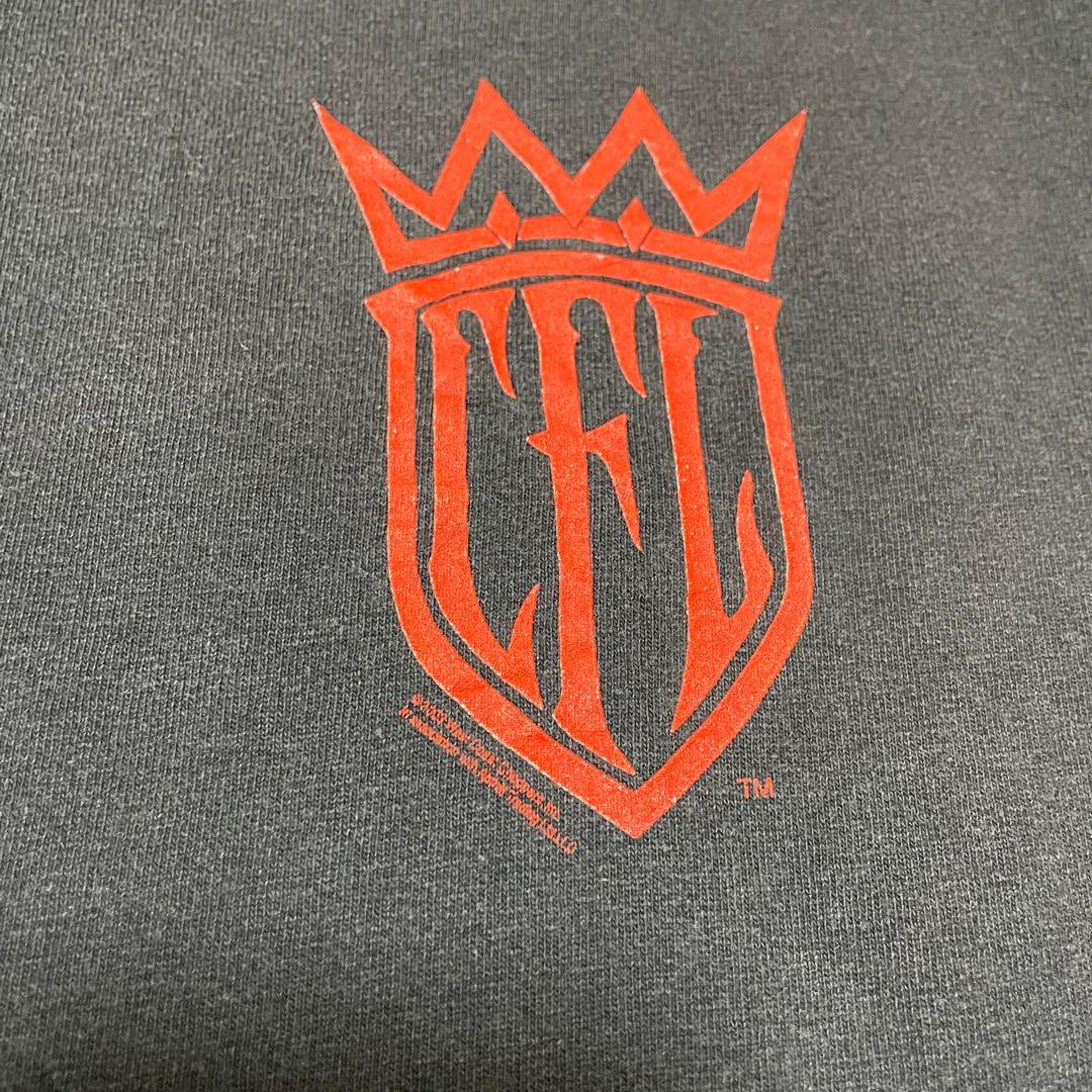 D*D様 00s WEST COAST CHOPPERS フレイム ロンT ブラ