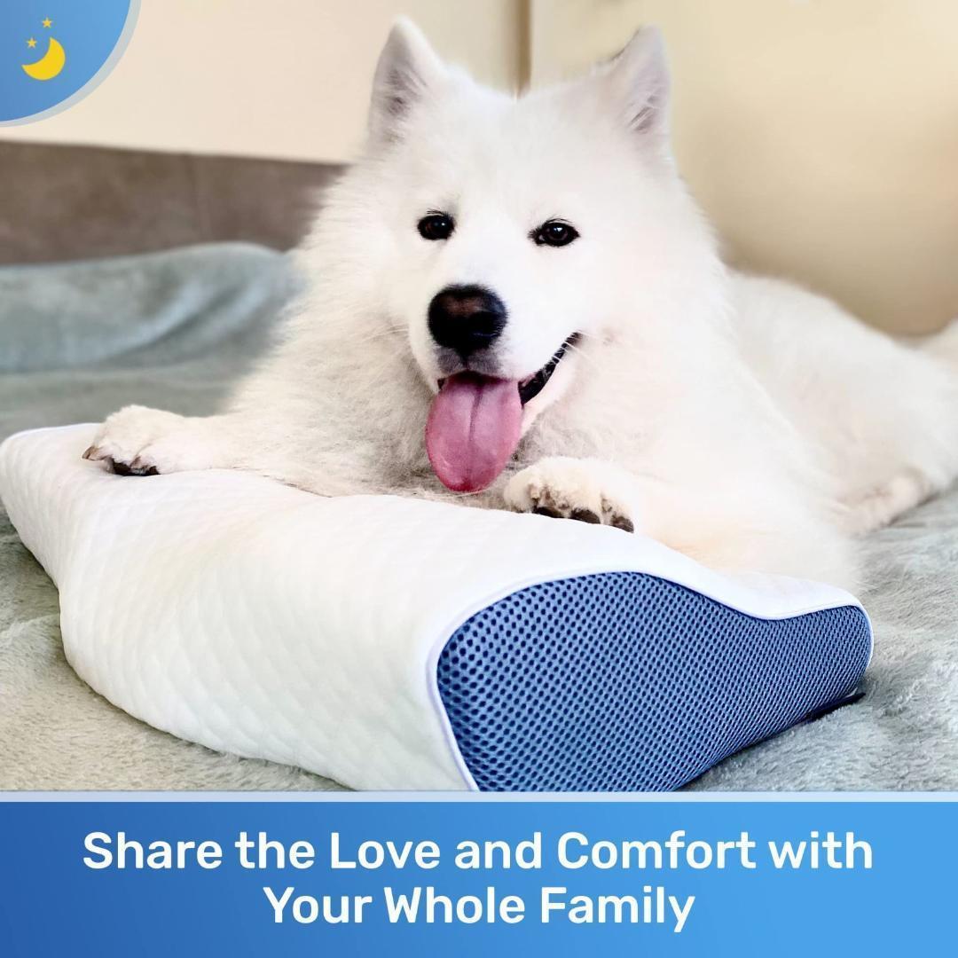 Derila King Size デリラ キングサイズ 枕 頸部ネックピロー