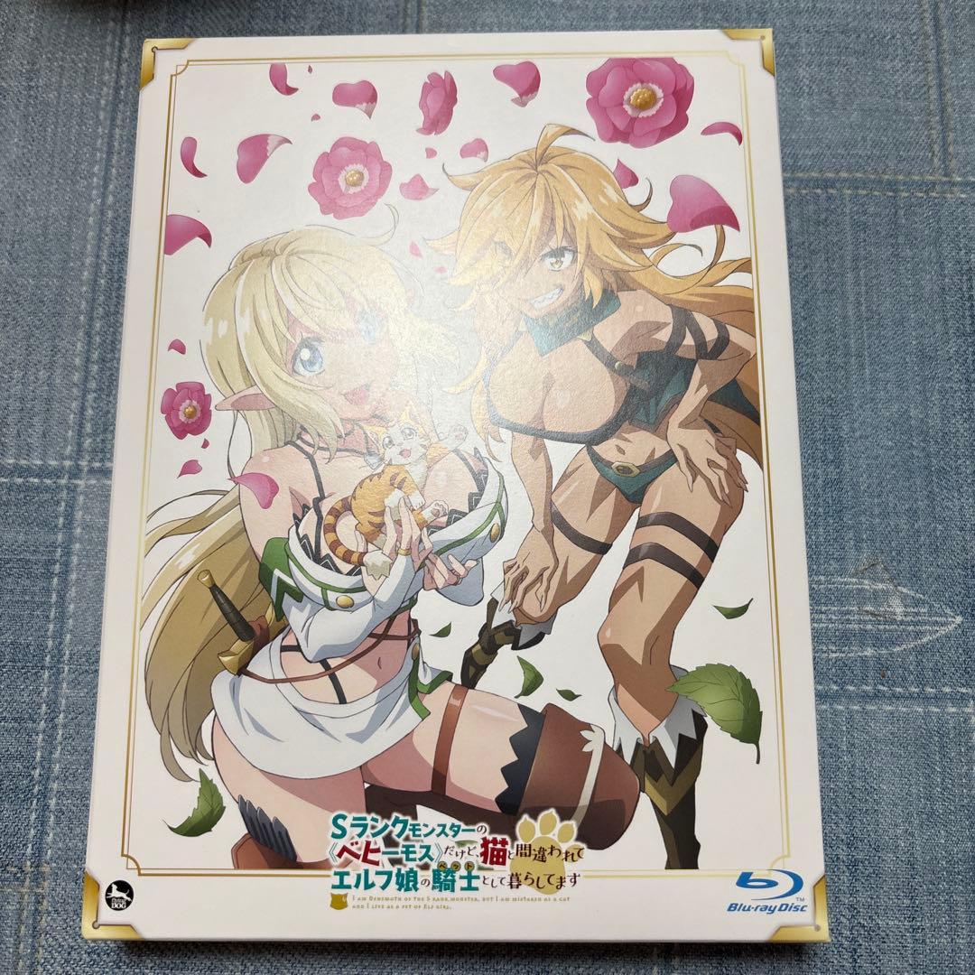 Sランクモンスターの《ベヒーモス》だけど,猫と間違われてエルフ娘の騎士(ペット…