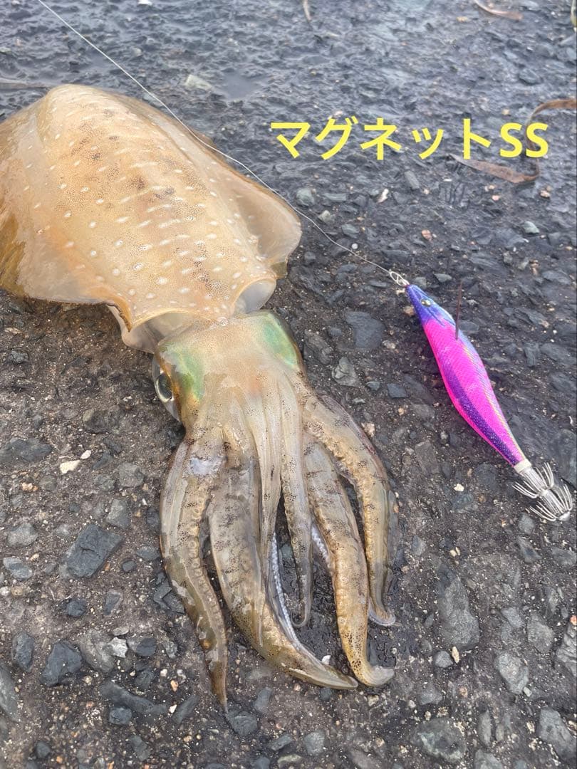 デュエル　ヨーズリ　エギ　エビQ・マグQ・マグネットSS