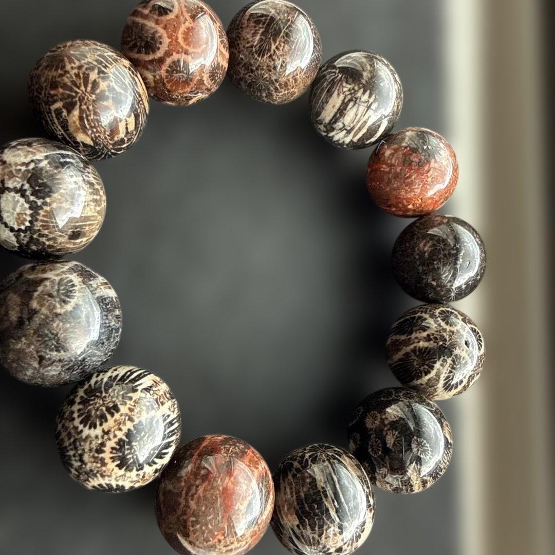 天然黒珊瑚ブレスレット ブラックフォッシルコーラル 珊瑚化石