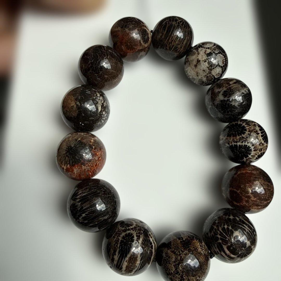 天然黒珊瑚ブレスレット ブラックフォッシルコーラル 珊瑚化石