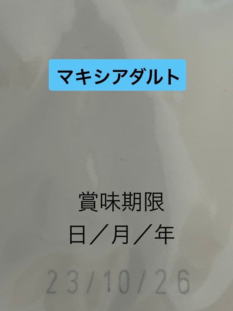 ロイヤルカナン　マキシアダルト　大型犬　16キロ