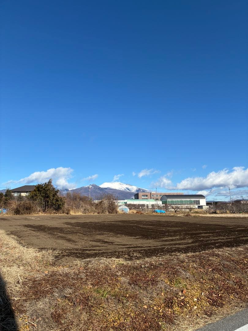 トミー　tom hawk バングル