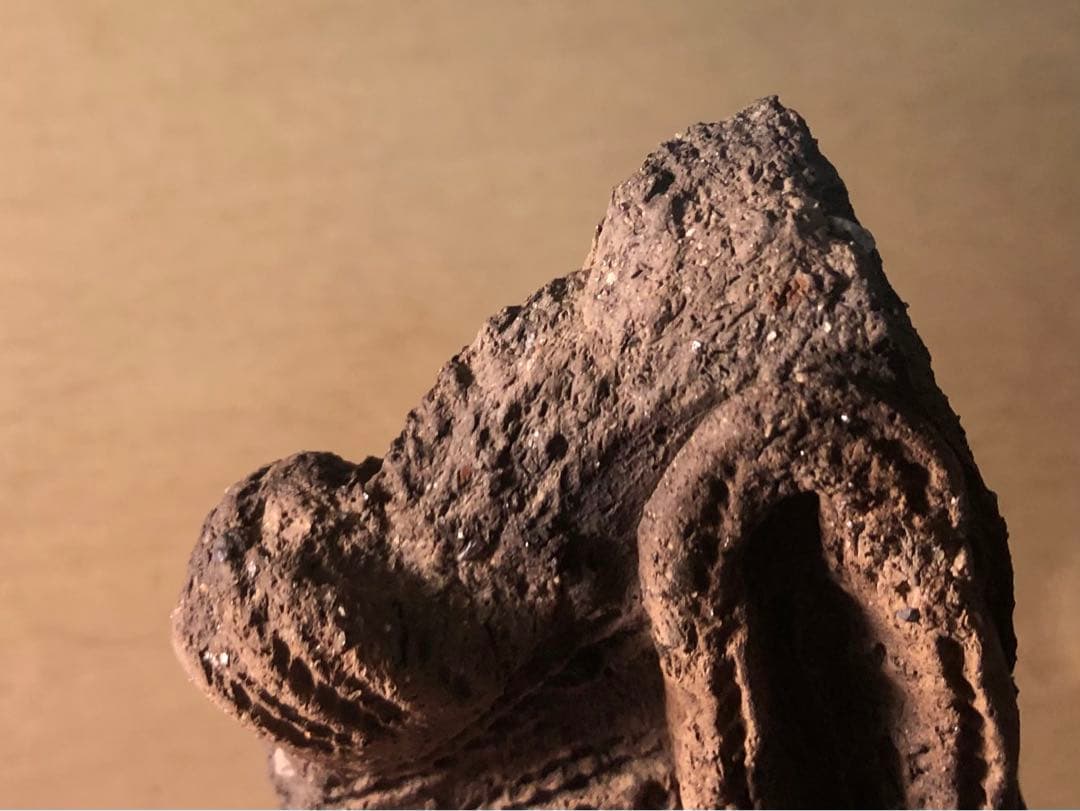 「縄文土器の欠片 No.534」です。