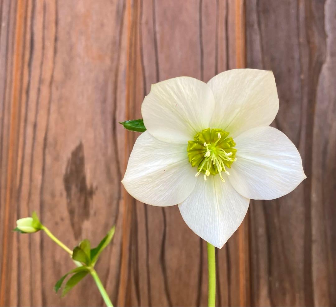 marge様ご検討用