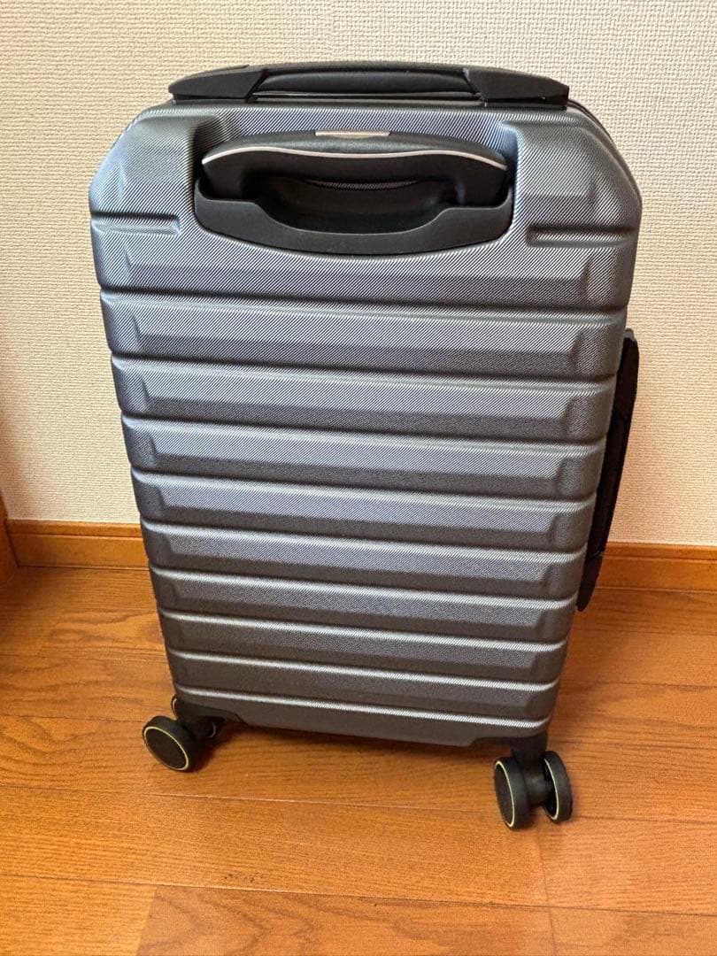 新品DELSY PARIS 荷物