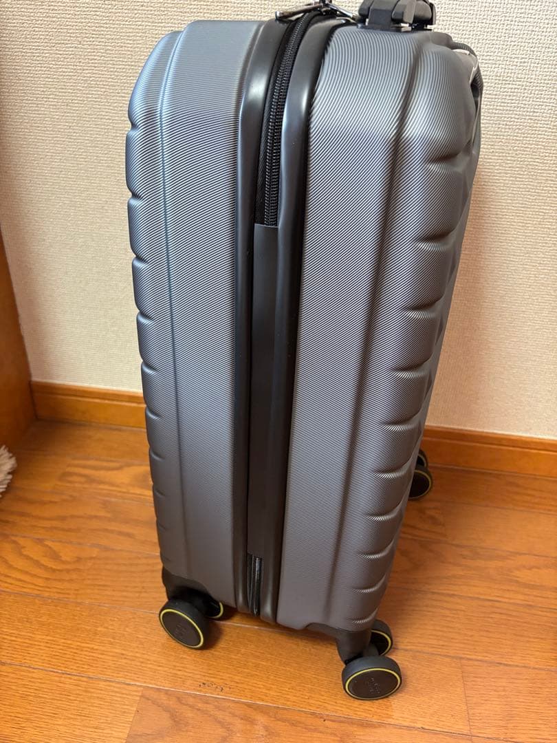 新品DELSY PARIS 荷物