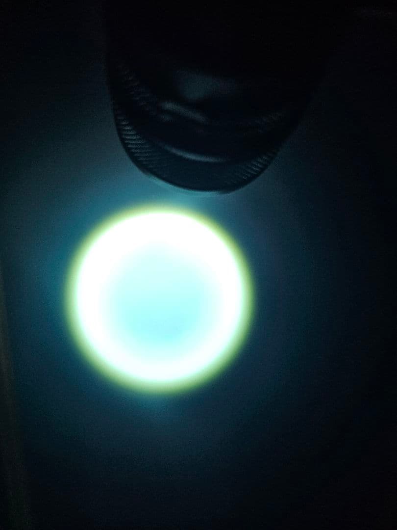 【田村装備開発】RAYGEARS-TSUKUYOMI.9 ピカニティマウント付