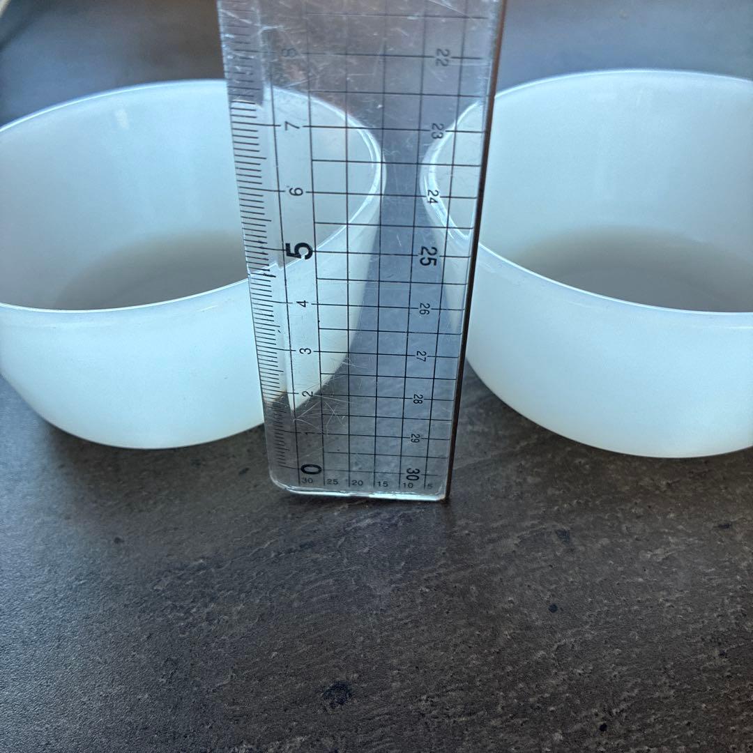 Fire king 透明プラスチックボウル 2個セット