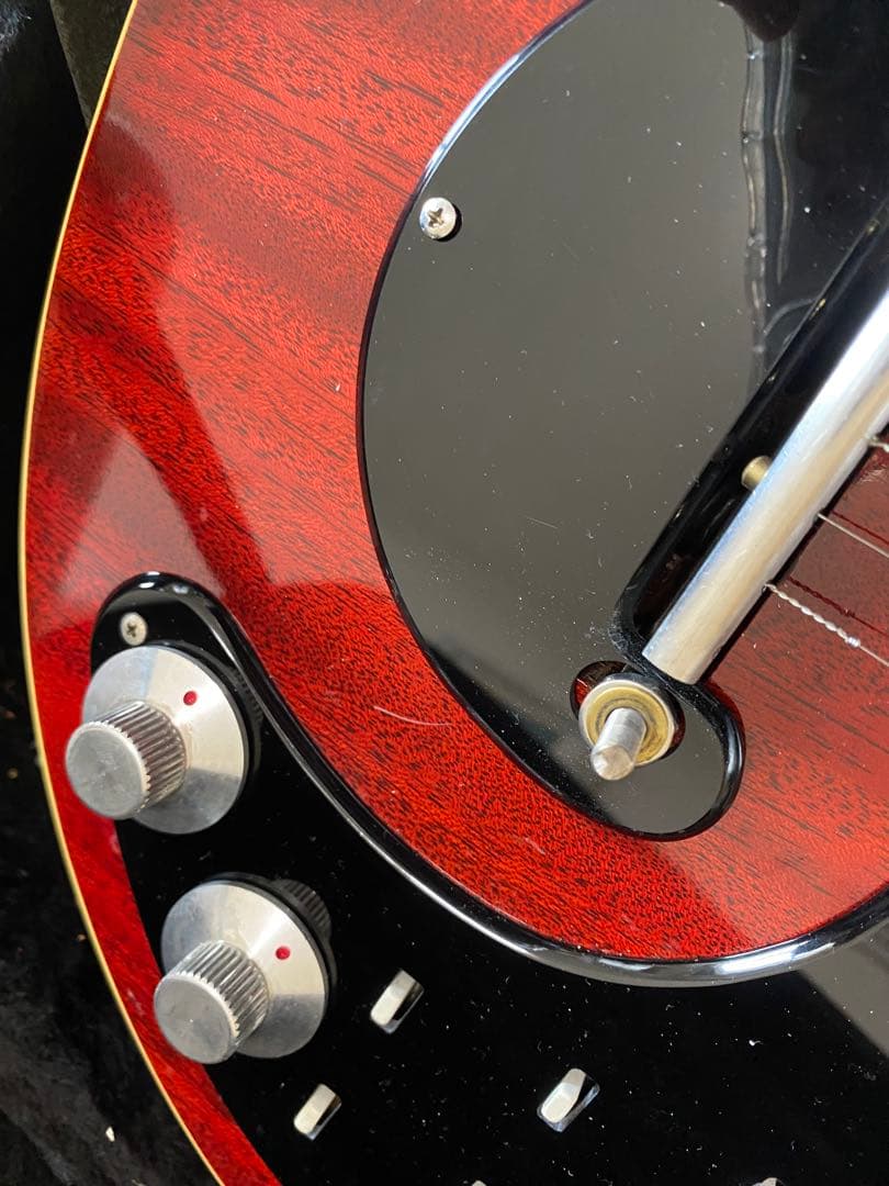 い*ぬ様 レッドスペシャルブランメイモデル ケース付き