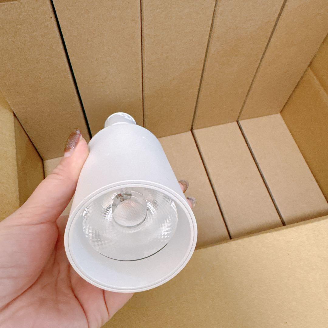 ダクトレール用スポットライト　10個セット　ホワイト