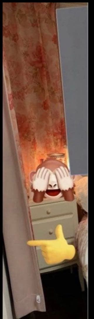 1級防炎遮光カーテン&バラ柄レースカーテン160×200 2組ずつ