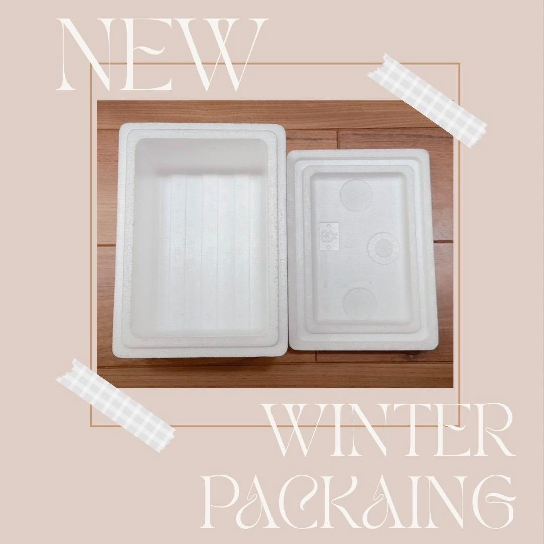 P. willinckii ’Jenny’ TC 3414