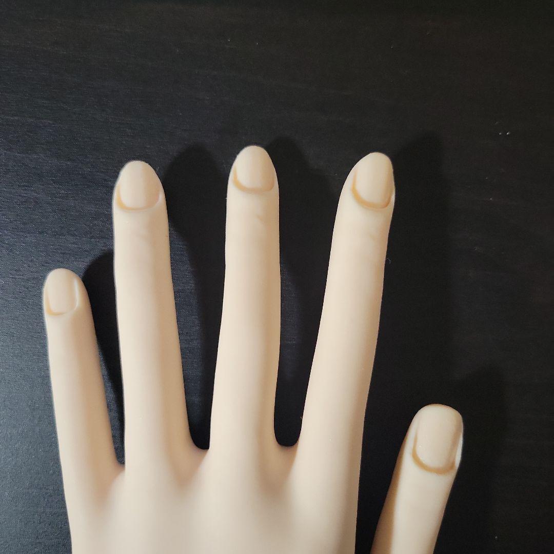 検定用モデルハンド 両手 .専用チップ.ルースキューティクル.両面テープ