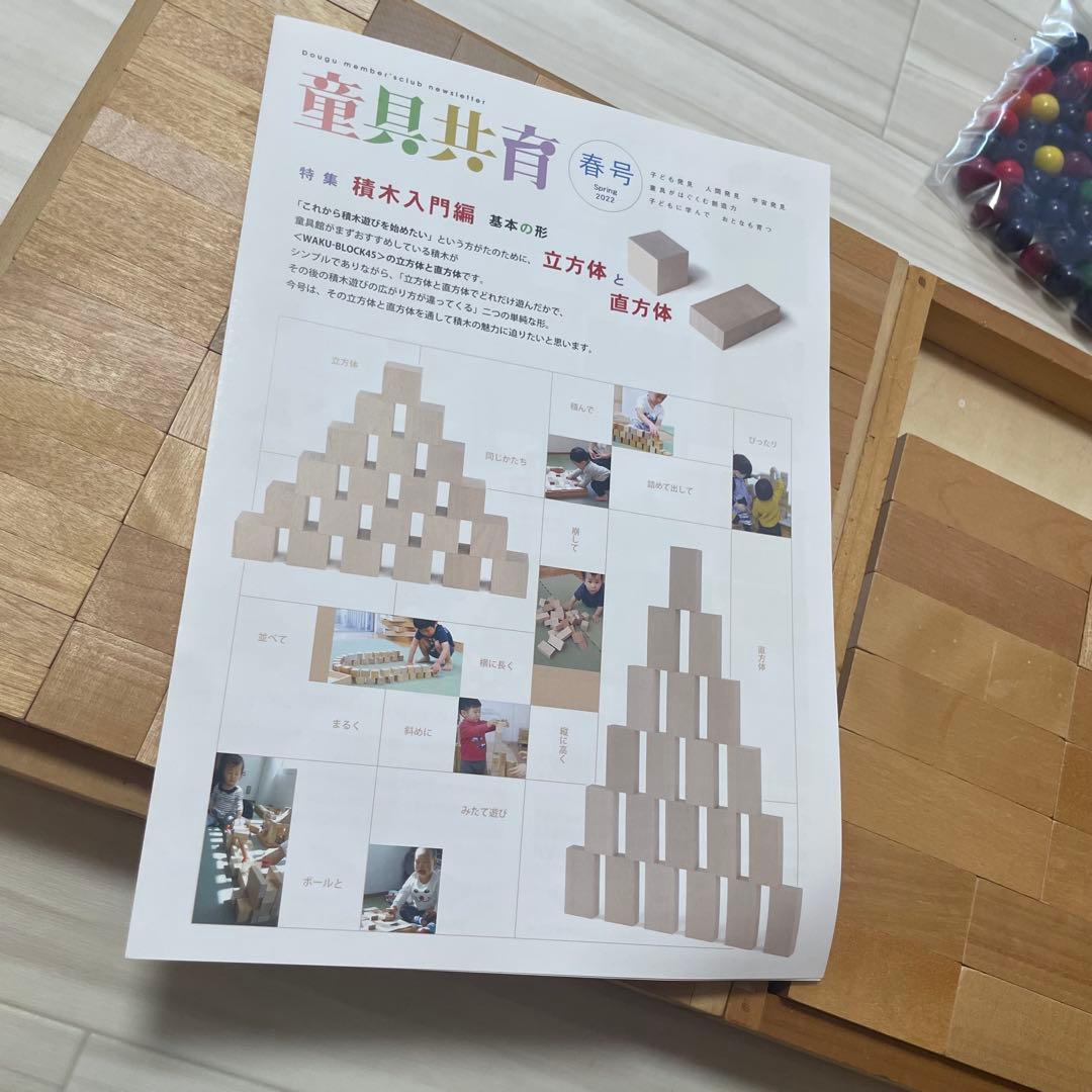 童具館 積み木 ビーズ 小穴 ワクブロック まとめ売り