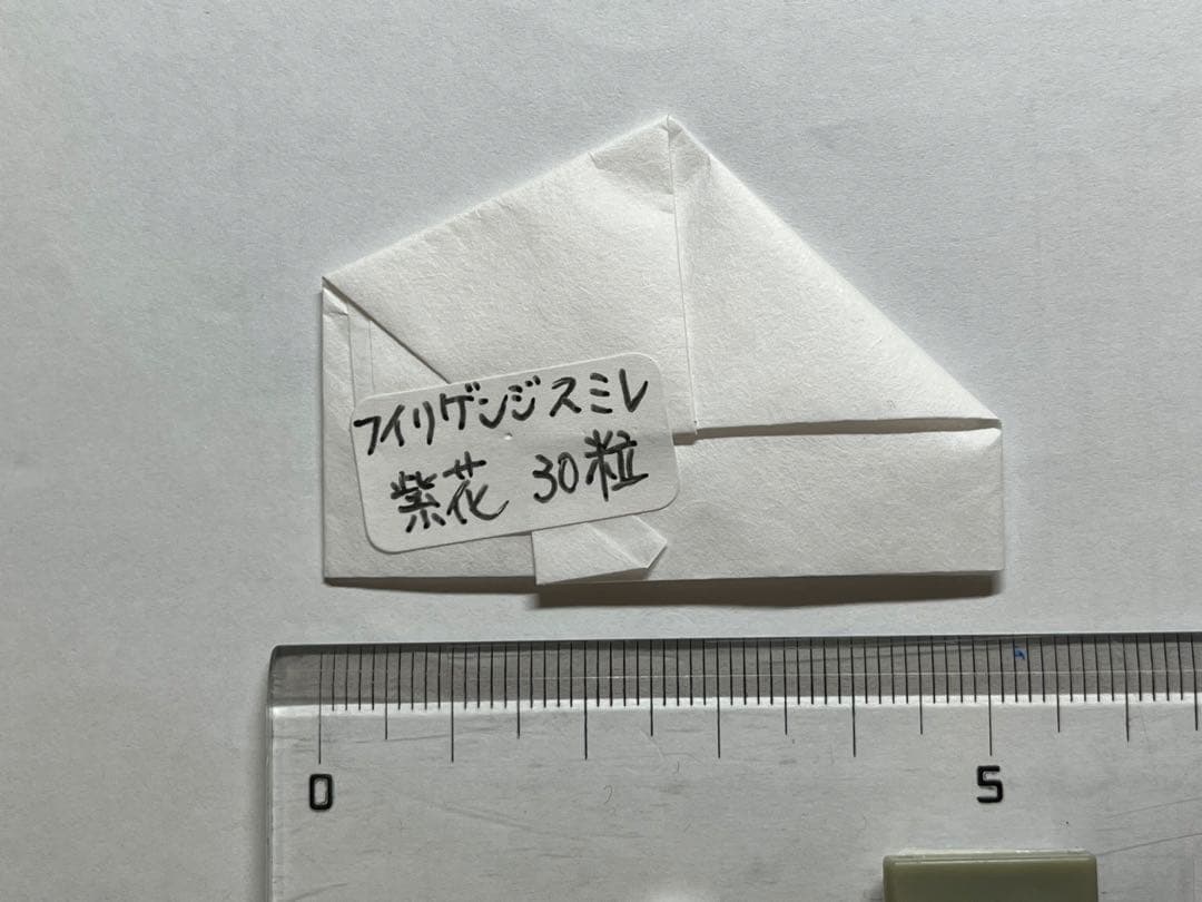 原種系スミレ種子あります　スミレ　すみれ　ビオラ