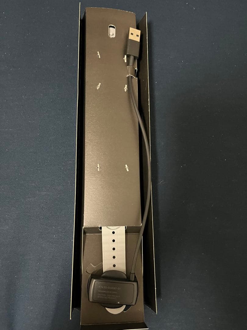 MagicBand+ 100周年記念デザイン 海外ディズニー　マジックバンド