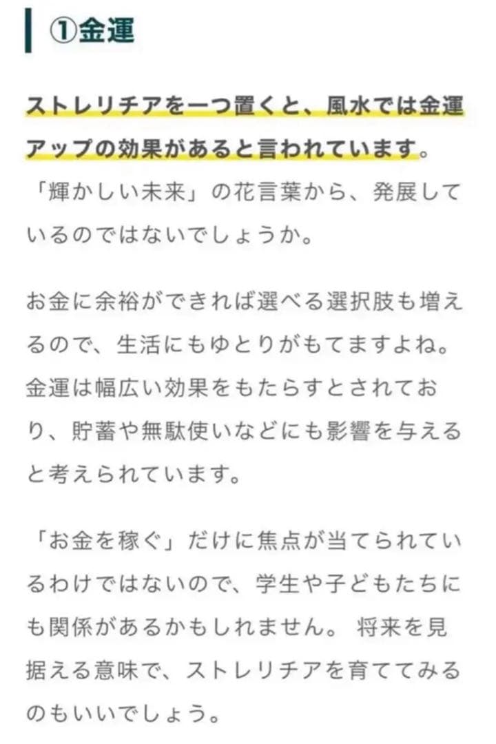 792【激レア・廃盤・貴重・希少】縁起物♪極楽鳥花 ストレリチア／スワロフスキー