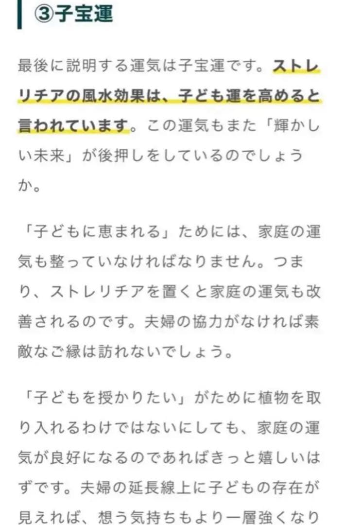 792【激レア・廃盤・貴重・希少】縁起物♪極楽鳥花 ストレリチア／スワロフスキー