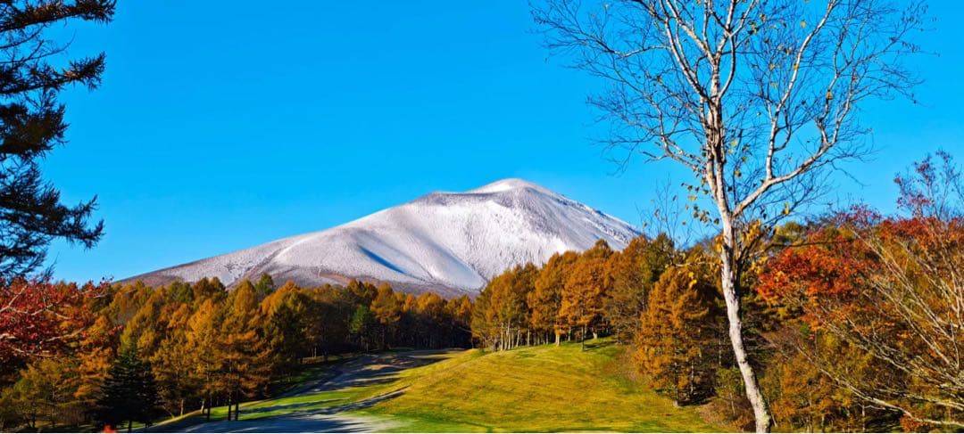 KVK 浄水カートリッジ PZS160 30本 ミミリン