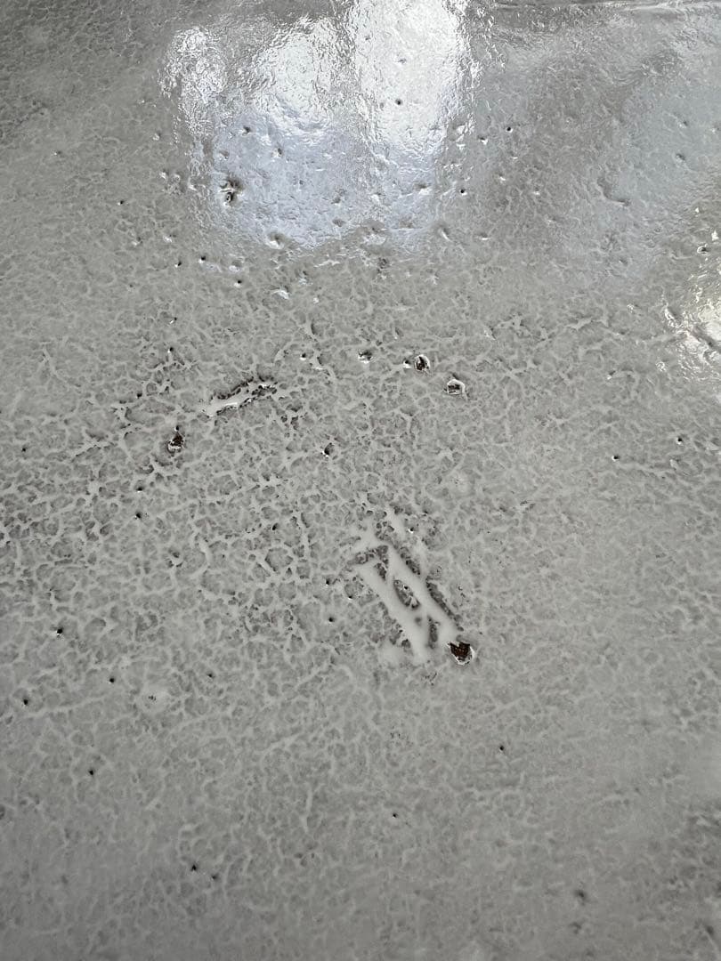 アスティエ・ド・ヴィラット　エトワール　ディナープレート