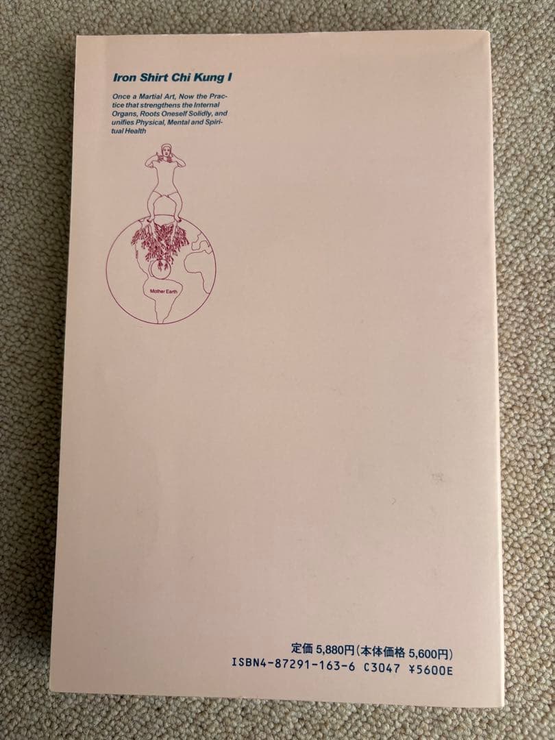 専用　鉄布衫功　筋膜・腱・骨を鍛えるタオ気功