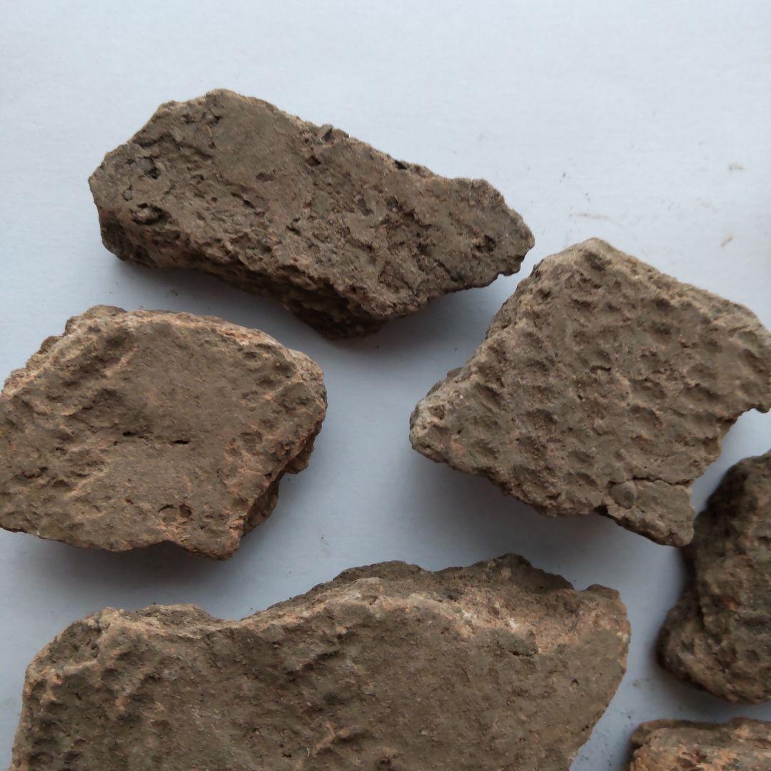 ★本物の縄文土器★(新潟県出土)24、23点