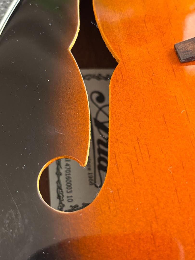 【美品と思います】Aria AM-20 マンドリン　ハードケース付き　送料無料