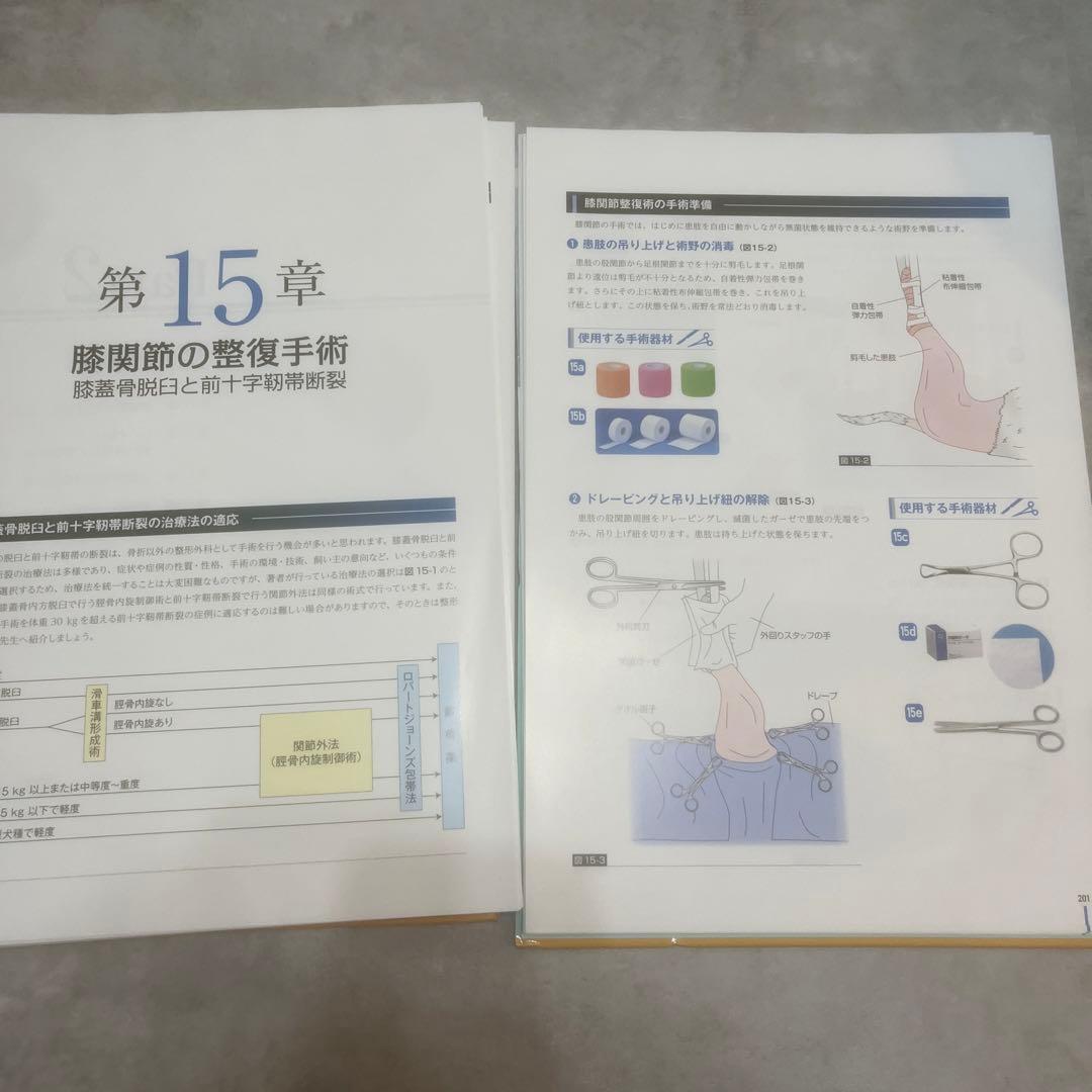 CLINIC NOTE BOOKS イラストを読む! 犬と猫の臨床外科 獣医