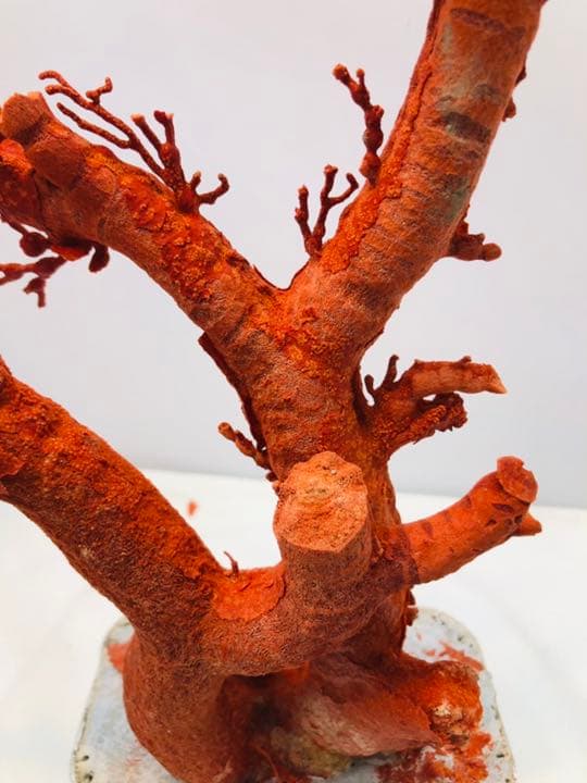 天然アップル珊瑚　置物