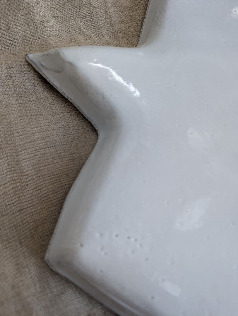 アスティエ・ド・ヴィラット　エトワール　ディナープレート②