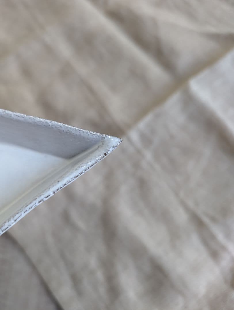 アスティエ・ド・ヴィラット　エトワール　ディナープレート②